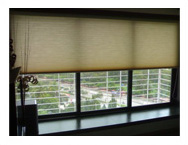 Window Dressing