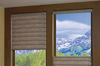 vigenette_window